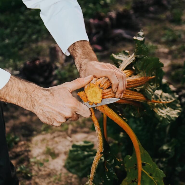 481547902 18382075855117354 8578097510361407649 n 768x768