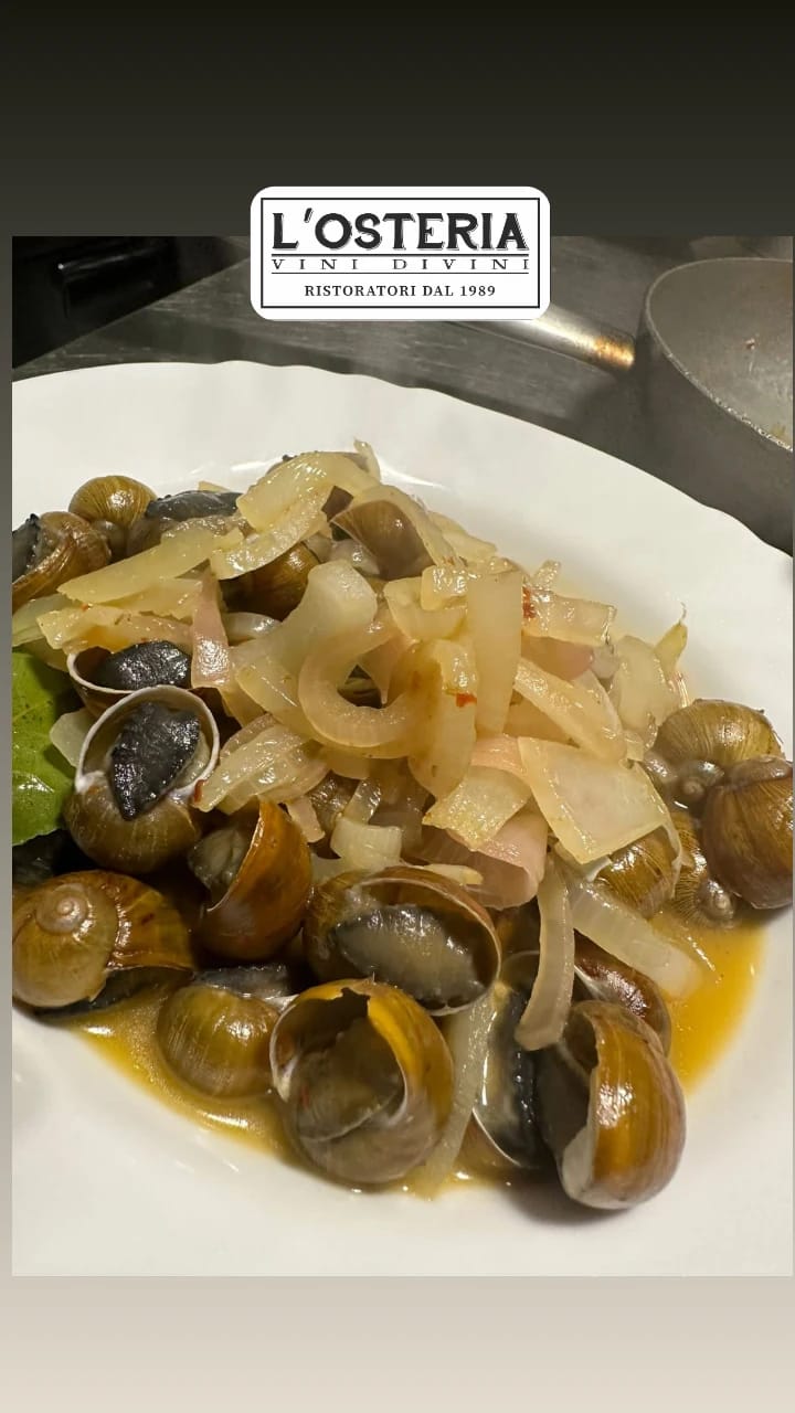 WhatsApp Image 2025 02 06 at 10.47.40 4